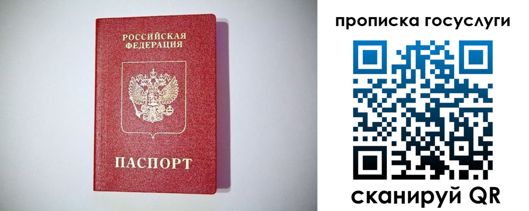временная регистрация госуслуги в Дубне